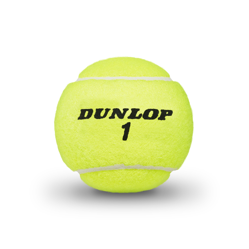 ATP Championship Tennis Balls