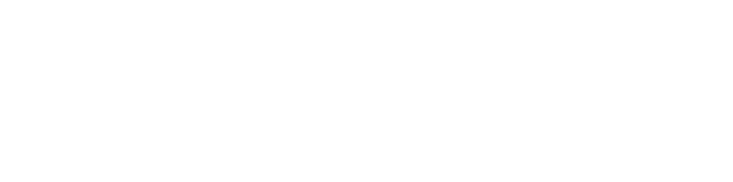 RTX FULL-FACE with ZipCore